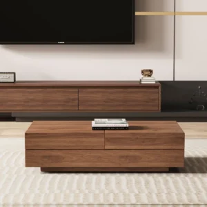 Ranoke Meja Tamu Minimalis